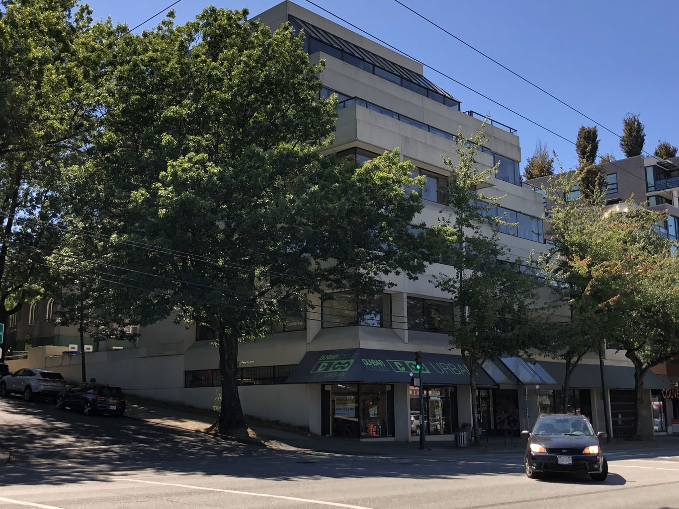 Vesalius Cardiovascular